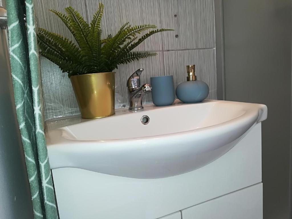 Guesthouse Smart Букурещ Екстериор снимка