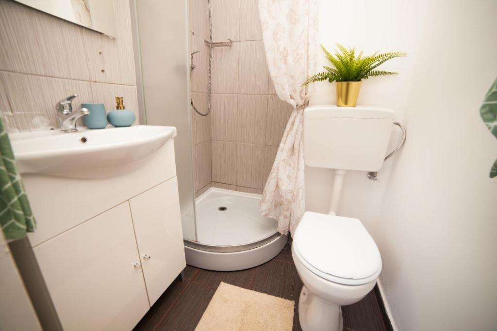 Guesthouse Smart Букурещ Екстериор снимка
